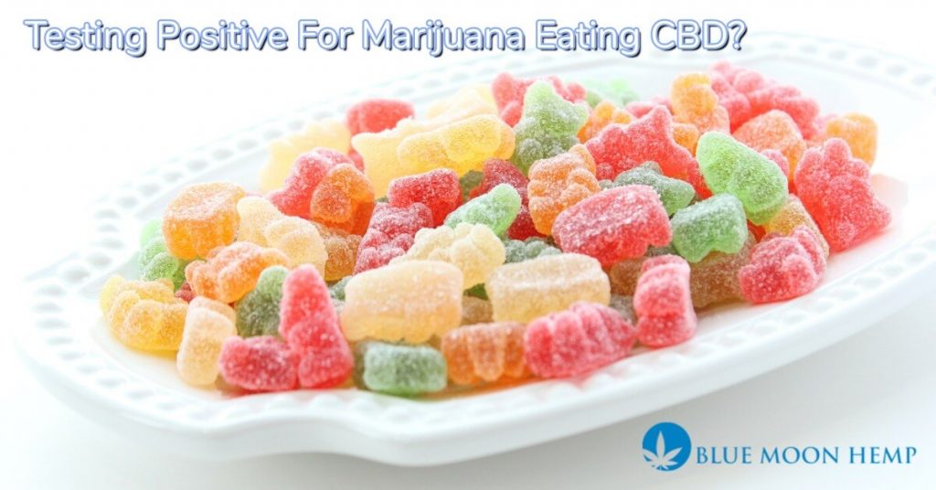 eating cbd infused gummies, hemp oil, are cbd gummies legal, cbd gummies drug test, what are cbd gummies, cbd gummies dosage